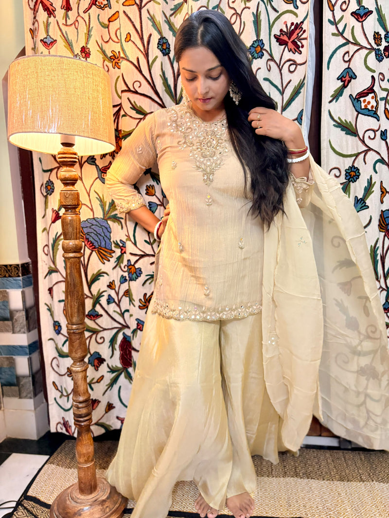 Hand Embroidered Zardozi Suits