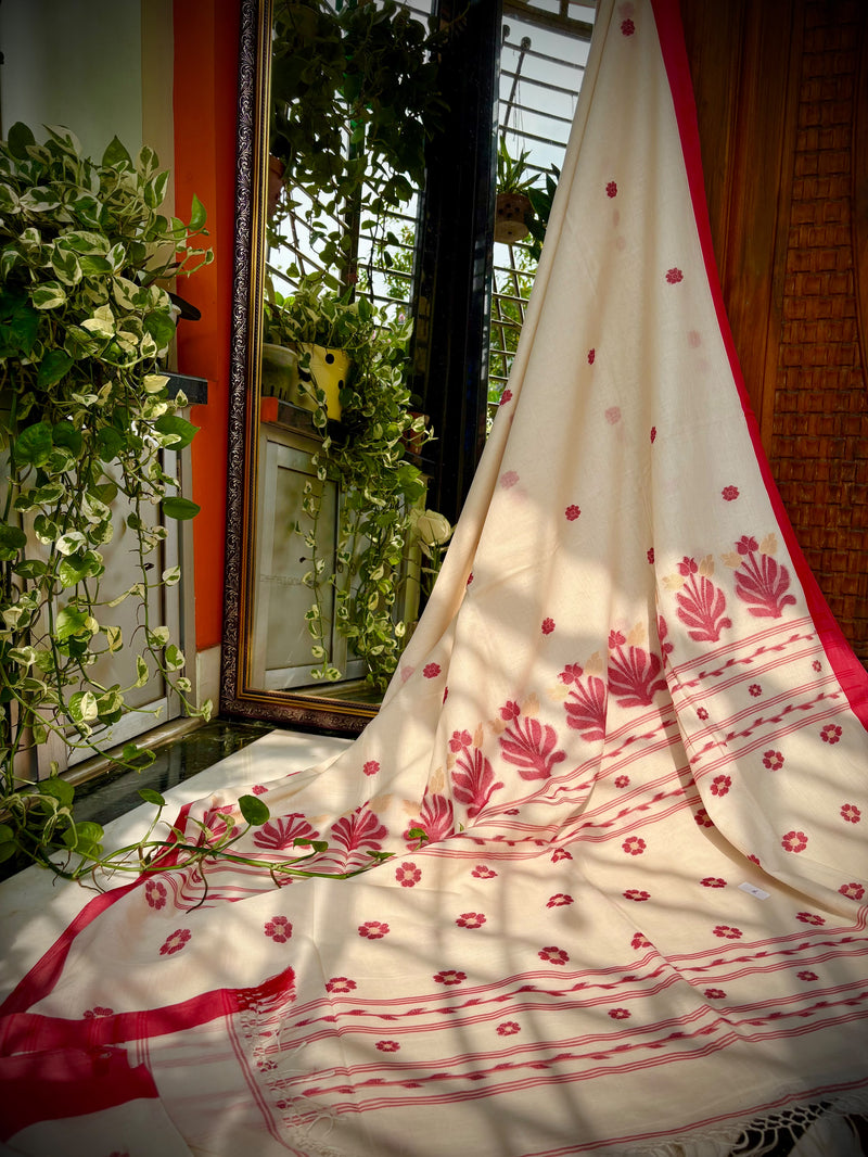 White & Red Saree in Pure cotton — 03